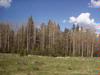 Lot 14 Hidden Lake Subdivision